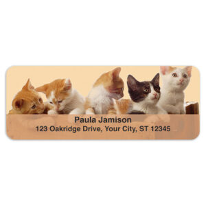 Precious Kittens Sheet Labels